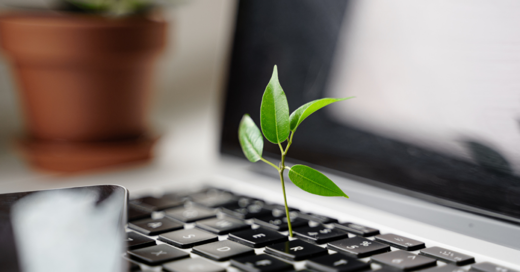 Sustainability Education