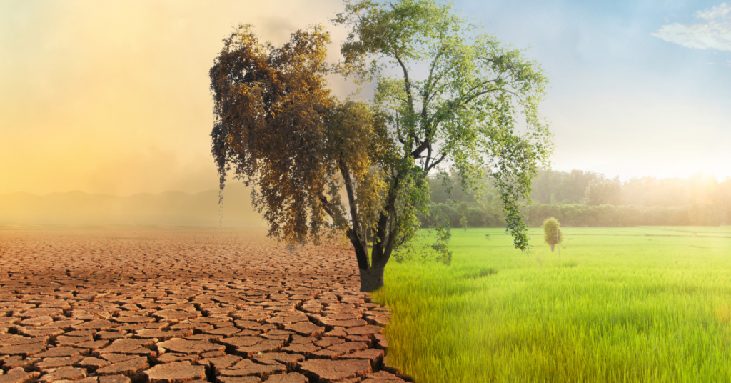 Environmental Impact Planning